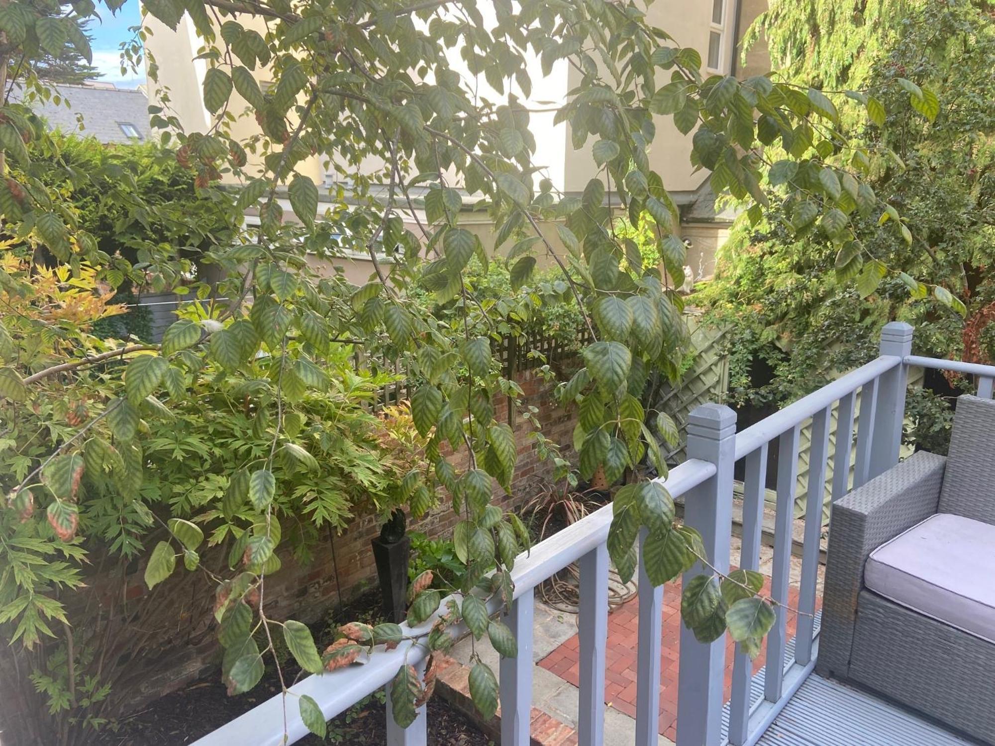 Town Centre Garden Retreat Apartman Cheltenham Kültér fotó
